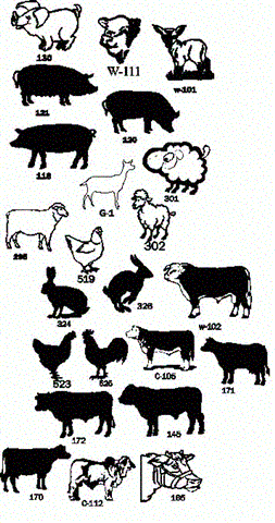ag animals