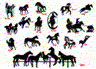 Horse Decals