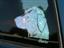 custom pet decals